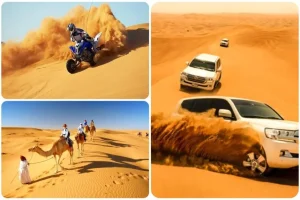 doha-desert-safari-quad-bike-b17364372743